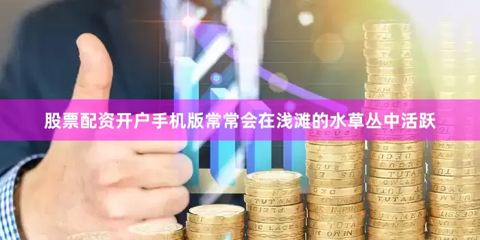 股票配资开户手机版常常会在浅滩的水草丛中活跃