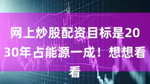 网上炒股配资目标是2030年占能源一成！想想看