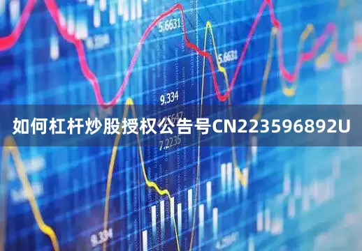 如何杠杆炒股授权公告号CN223596892U