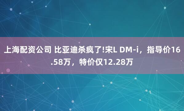 上海配资公司 比亚迪杀疯了!宋L DM-i,指导价16.58万,特价仅12.28万