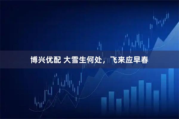 博兴优配 大雪生何处，飞来应早春