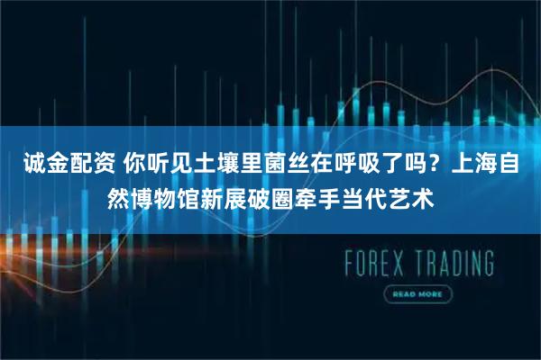 诚金配资 你听见土壤里菌丝在呼吸了吗？上海自然博物馆新展破圈牵手当代艺术