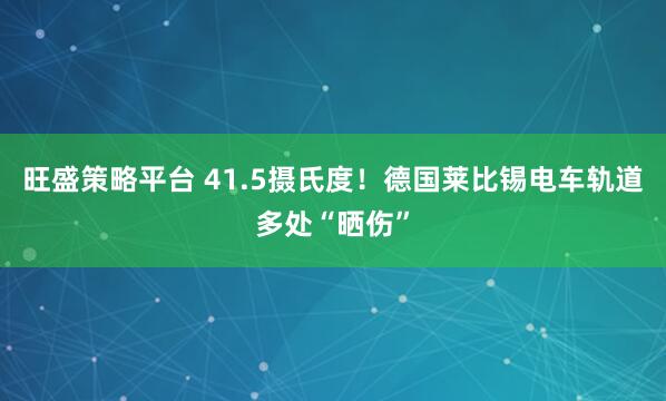 旺盛策略平台 41.5摄氏度！德国莱比锡电车轨道多处“晒伤”